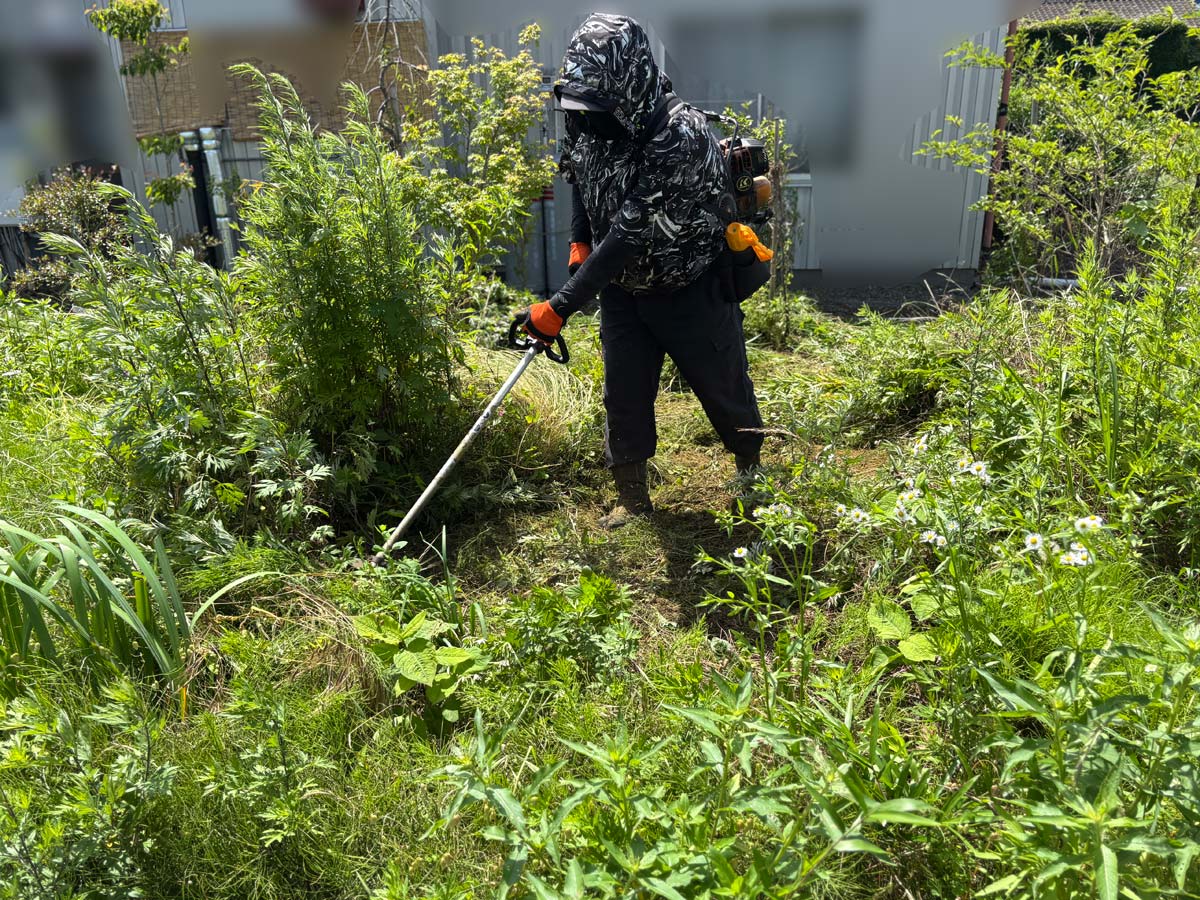 石巻市鹿又地区のご実家でエンジン式刈払機を使い草刈りを行っている様子