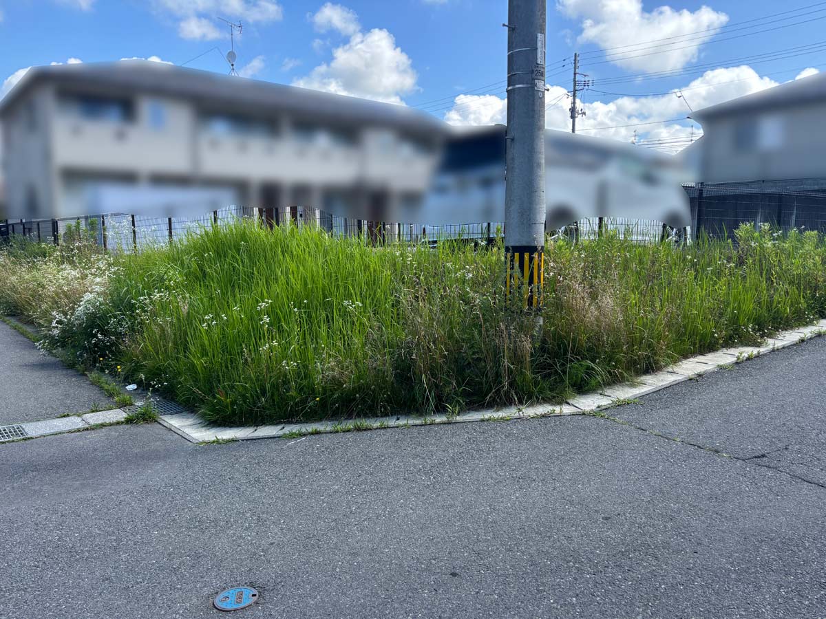 石巻市須江地区のアパート敷地周り、草刈り作業前の斜面の様子