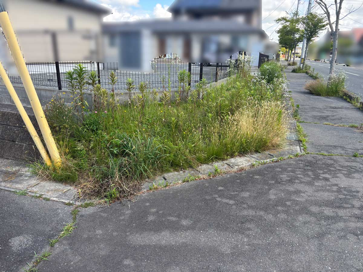 石巻市須江地区の貸家、歩道植栽帯に雑草が伸びた施工前の様子