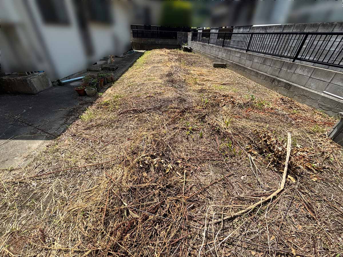 石巻市湊地区の空き家裏の元畑で草刈りを行った後に刈草を十分乾燥させた刈草回収前の様子