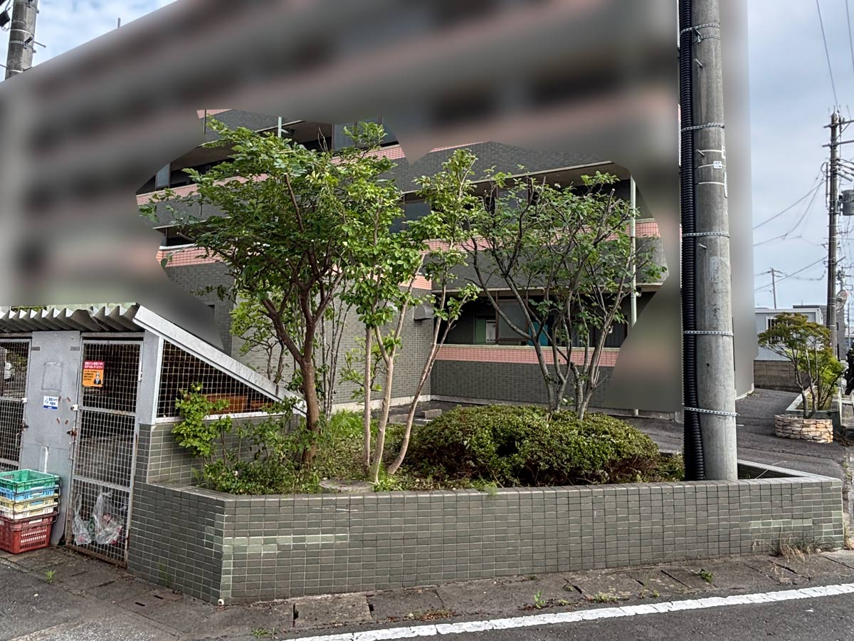石巻市鹿妻地区のマンション敷地内で庭木の剪定後の様子