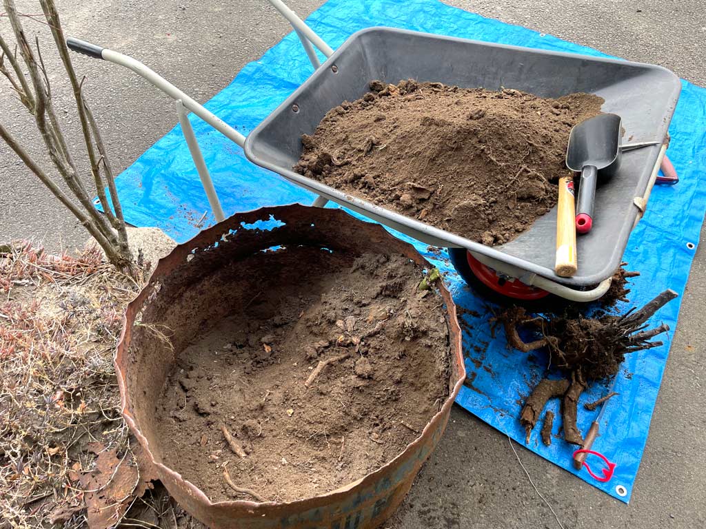 便利屋フォーカスの庭片付け作業事例（プランターとして使っていたドラム缶の土と木の根っこの分別処分）