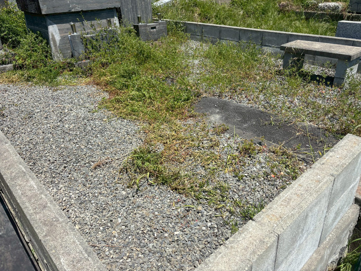 石巻市のお墓の除草作業前(宮城県門脇地区)。雑草が伸びてしまった墓所の様子を左手前から撮影。