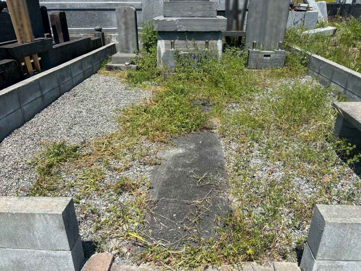 石巻市門脇地区のお墓除草作業前。墓所内および周辺に雑草が広範囲に生い茂っている全景の様子。