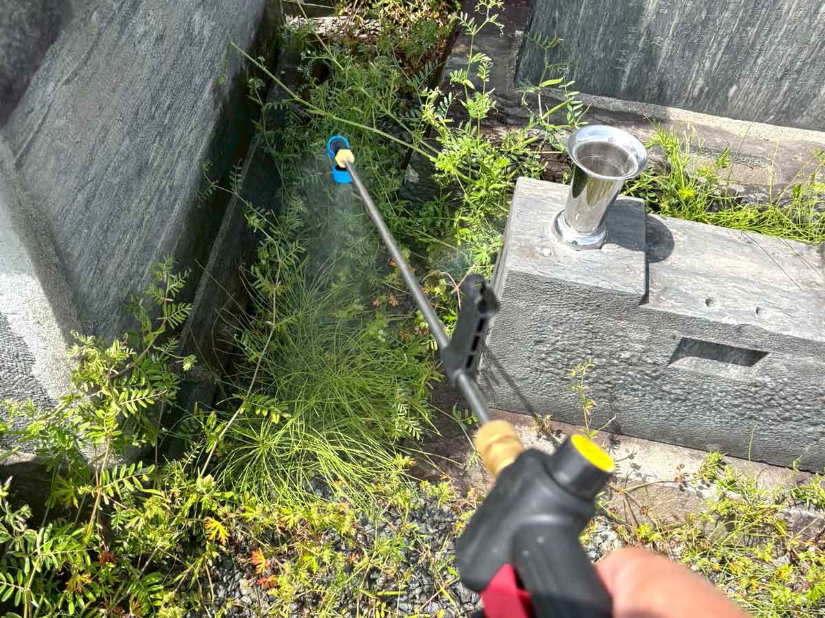 石巻市門脇地区のお墓で除草作業前の雑草に電動噴霧器で液体除草剤を散布する様子