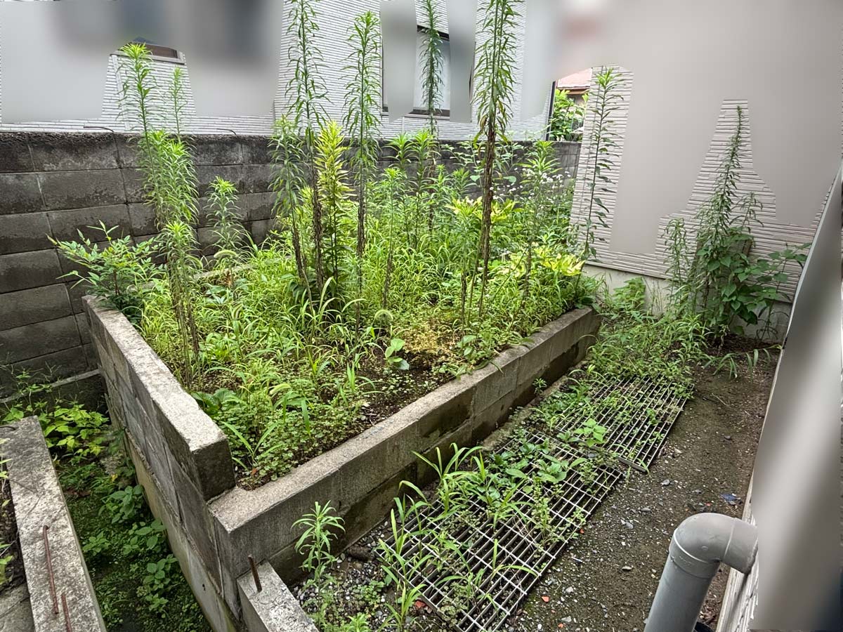 石巻市渡波地区の空き家お庭草刈り・除草剤散布施工前(作業前)の様子
