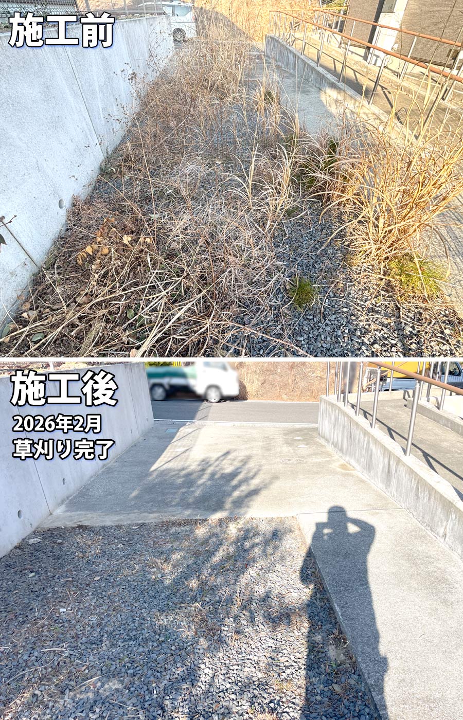 石巻市鮎川地区の復興住宅にて行った草刈り作業の施工前後比較写真。復興住宅敷地内と駐車場スペース周辺の雑草を除去した様子。